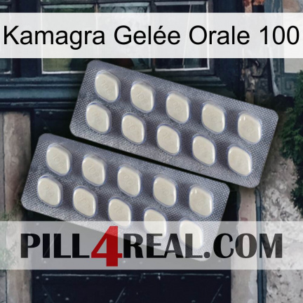 Kamagra Gelée Orale 100 07